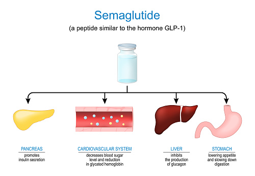 Semaglutide, Peptide Hormone, an Anti-Obesity Medication.