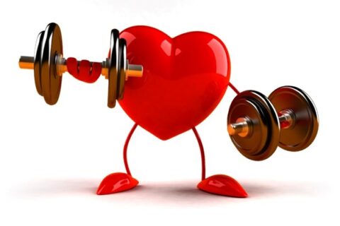 A rendering of a red healthy heart lifting weights to become strong