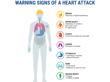 Warning Signs of Heart Attack Illustrated on Human Body