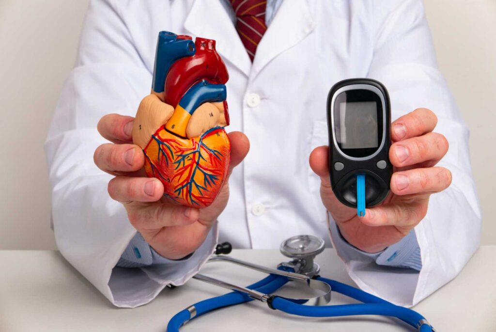 Doctor showing Anatomical model heart and glucometer in a hospital in Sugar Land, TX