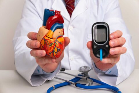 Doctor showing Anatomical model heart and glucometer in a hospital in Sugar Land, TX