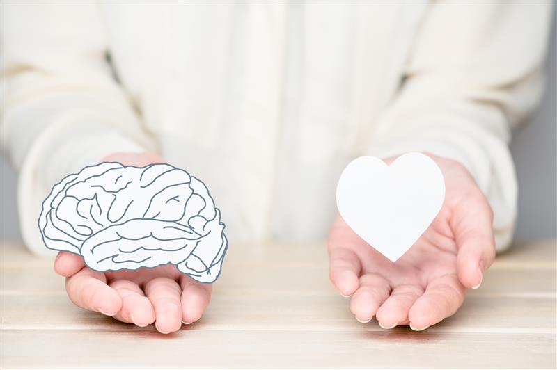 Hands holding brain and heart symbols showing mental-heart health link